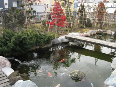 庭のコンクリート池
